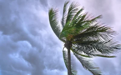 Hurricane Proofing your Roof