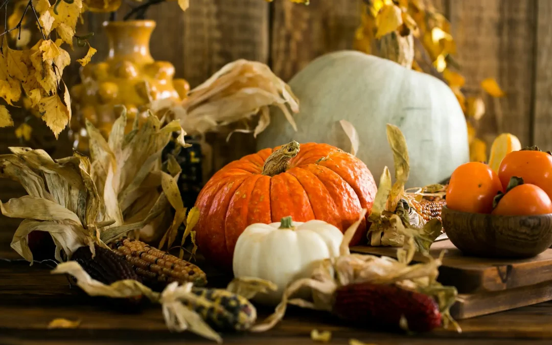 Ensuring a Safe and Cozy Home This Thanksgiving: Tips from Umbrella Home Inspections